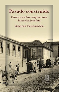 Pasado construido - Andrés Fernández - E-Book