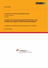 Analyse eines branchenspezifischen Marktes und Erarbeitung möglicher Markteintrittsstrategien - Dennis Thiel - E-Book