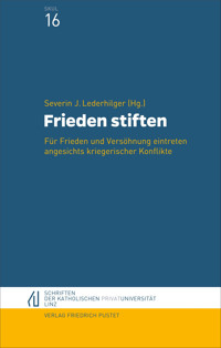 Frieden stiften -  - E-Book