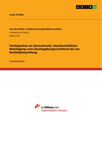 Partizipation im Umweltrecht. Gesellschaftliche Beteiligung vom Gesetzgebungsverfahren bis zur Rechtsüberprüfung - Jonas Straßer - E-Book