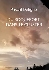 Du roquefort dans le cluster - Pascal Deligné - E-Book
