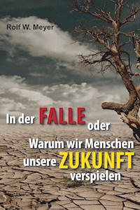 In der Falle - Rolf W. Meyer - E-Book