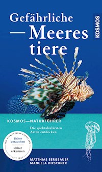 Gefährliche Meerestiere - Matthias Bergbauer - E-Book