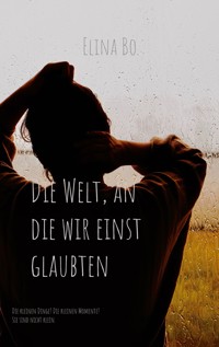 Die Welt, an die wir einst glaubten - Elina Bo - E-Book