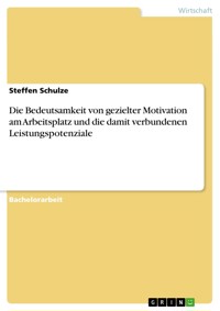 Die Bedeutsamkeit von gezielter Motivation am Arbeitsplatz und die damit verbundenen Leistungspotenziale - Steffen Schulze - E-Book