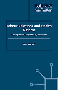 Labour Relations and Health Reform - K. Wetzel - E-Book