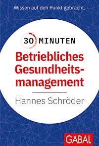 30 Minuten Betriebliches Gesundheitsmanagement (BGM) - Hannes Schröder - E-Book