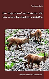 Ein Experiment mit Autoren, die ihre ersten Geschichten vorstellen - Wolfgang Pein - E-Book