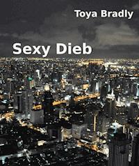 Sexy Dieb - Toya Bradly - E-Book