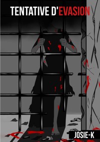 Tentative d'évasion - Josie K. - E-Book