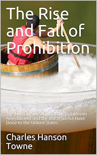 The Rise and Fall of Prohibition / The Human Side of What the Eighteenth Amendment and the / Volstead Act Have Done to the United States - Charles Hanson Towne - E-Book
