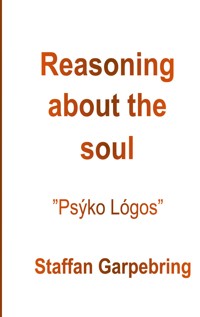 Reasoning about the soul - Staffan Garpebring - E-Book