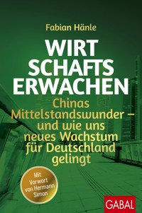 Wirtschaftserwachen - Fabian Hänle - E-Book