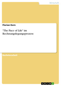 "The Pace of Life" im Rechnungslegungsprozess - Florian Kern - E-Book
