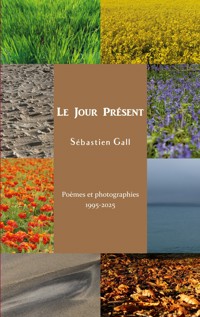 Le Jour Présent - Sébastien Gall - E-Book