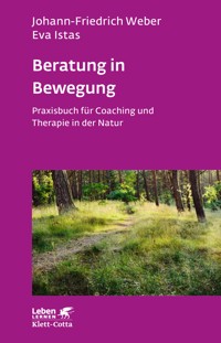 Beratung in Bewegung - Johann-Friedrich Weber - E-Book