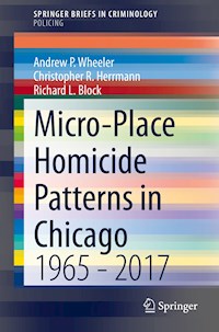 Micro-Place Homicide Patterns in Chicago - Andrew P. Wheeler - E-Book