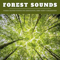 Forest Sounds: Forest Nature Sounds for Meditation, Deep Sleep & Relaxation (XXL Bundle) - Nature Sounds Therapy - Hörbuch
