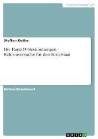 Die Hartz IV-Bestimmungen - Reformversuche für den Sozialstaat - Steffen Knäbe - E-Book
