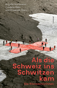 Als die Schweiz ins Schwitzen kam - Brigitte Hürlimann - E-Book