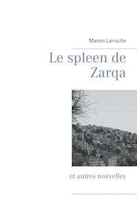 Le spleen de Zarqa - Manon Larraufie - E-Book