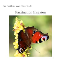 Faszination Insekten - Isa Freifrau von Elverfeldt - E-Book