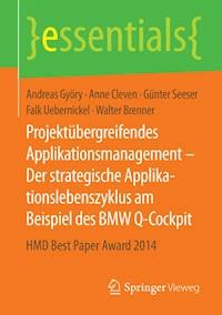 Projektübergreifendes Applikationsmanagement – Der strategische Applikationslebenszyklus am Beispiel des BMW Q-Cockpit - Andreas Györy - E-Book