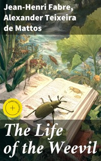 The Life of the Weevil - Jean-Henri Fabre - E-Book