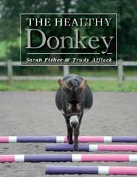 The Healthy Donkey - Trudy Affleck - E-Book