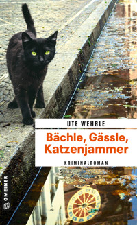 Bächle, Gässle, Katzenjammer - Ute Wehrle - E-Book