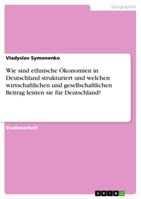 Wie sind ethnische Ökonomien in Deutschland strukturiert und welchen wirtschaftlichen und gesellschaftlichen Beitrag leisten sie für Deutschland? - Vladyslav Symonenko - E-Book