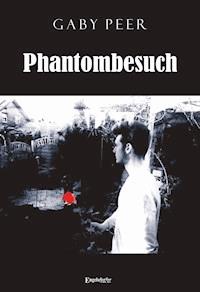 Phantombesuch - Gaby Peer - E-Book