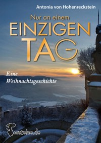 Nur an einem einzigen Tag - Oliver Grudke - E-Book