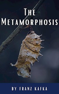 The Metamorphosis - Franz  kafka - E-Book