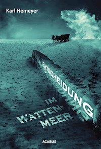Entscheidung im Wattenmeer - Karl Hemeyer - E-Book