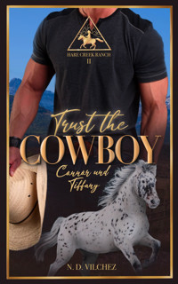 Trust the Cowboy - N. D. Vilchez - E-Book