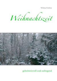 Weihnachtszeit - Wilma Frohne - E-Book