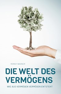 Die Welt des Vermögens - Ronny Wagner - E-Book