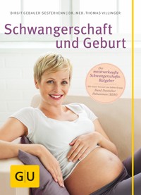 Schwangerschaft und Geburt - Birgit Gebauer-Sesterhenn - E-Book