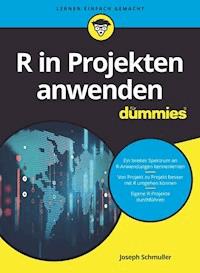 R in Projekten anwenden für Dummies - Joseph Schmuller - E-Book