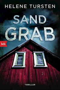 Sandgrab - Helene Tursten - E-Book