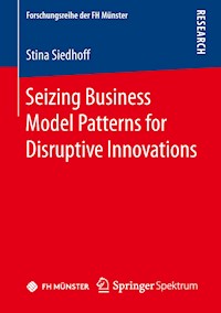 Seizing Business Model Patterns for Disruptive Innovations - Stina Siedhoff - E-Book