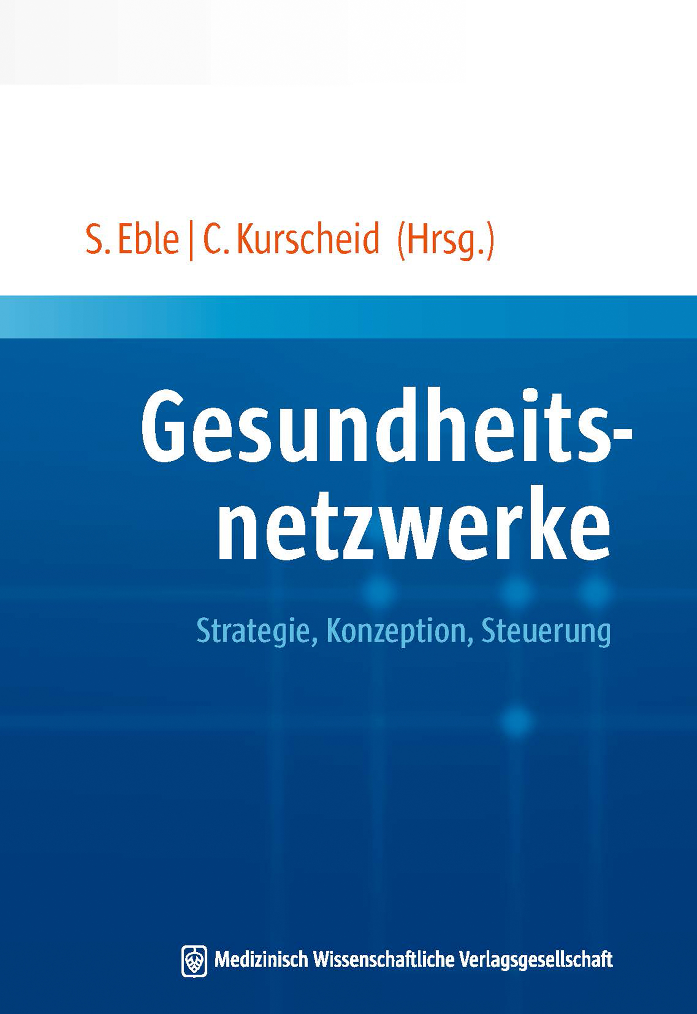 Gesundheitsnetzwerke -  - E-Book
