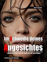 Im Schweiße deines Angesichtes - Hans Janotta - E-Book