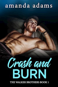 Crash and Burn - Amanda Adams - E-Book