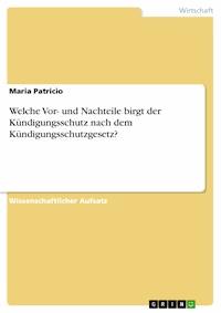 Welche Vor- und Nachteile birgt der Kündigungsschutz nach dem Kündigungsschutzgesetz? - Maria Patricio - E-Book