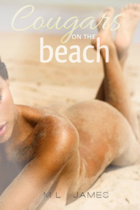 Cougars on the Beach - ML James - E-Book