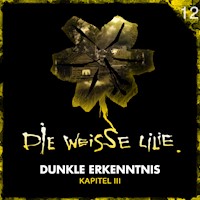 12: Dunkle Erkenntnis - Kapitel III - Benjamin Oechsle - Hörbuch