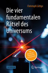 Die vier fundamentalen Rätsel des Universums - Christoph Lüttge - E-Book