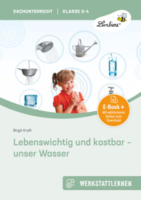 Lebenswichtig und kostbar - unser Wasser - Birgit Kraft - E-Book